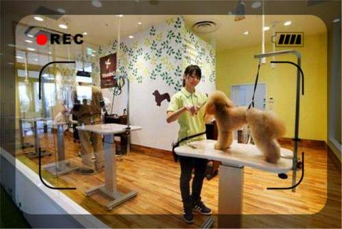 现在开什么店好(利润很吓人10个冷门创业项目加盟)插图5