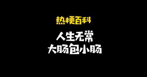 人生无常大肠包小肠是什么意思(人生无常大肠包小肠下一句怎么接)插图