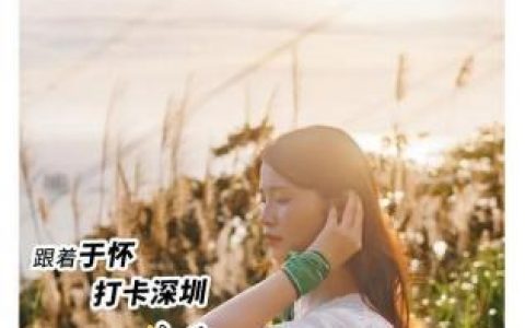 深圳南山(深圳南山区)
