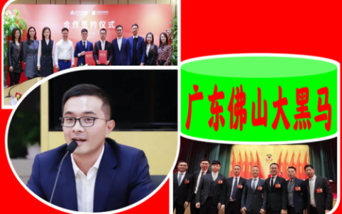 佛山扶贫企业排名前十(佛山龙头企业排行榜)