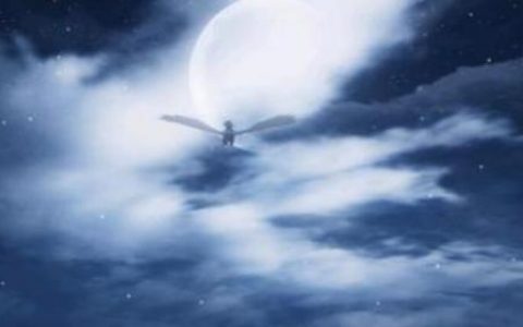 妄想山海狌狌怎么获得(妄想山海朏朏怎么进化千年)
