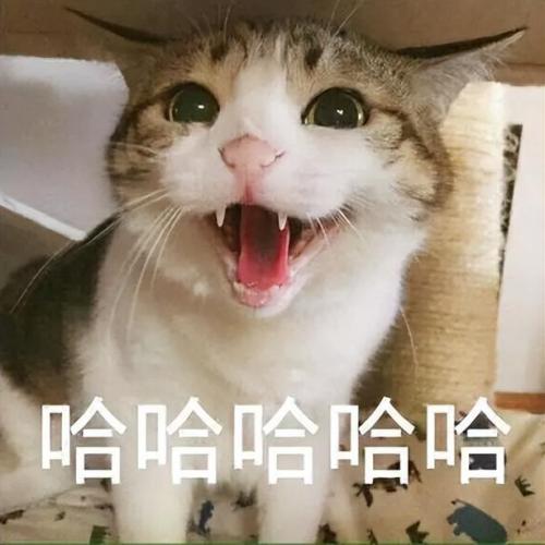 腾讯最新游戏(腾讯最火的十大手游)插图4