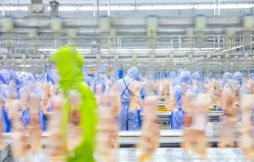 即食玉米品牌排名前十(玉米十大品牌排行榜)插图1