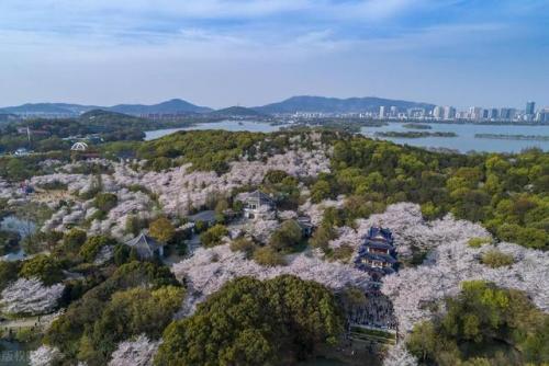 江苏旅游景点大全景点排名(江苏旅游景点大全排名)插图8
