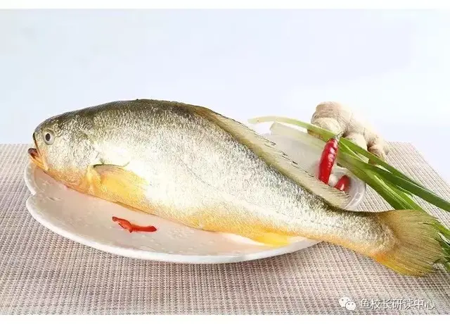 余杭外卖大餐排名前十(美团外卖年三十还送餐吗)插图18