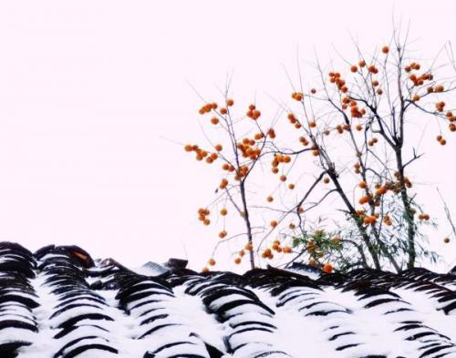 四川哪里下雪了(2023第一场雪)插图2