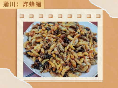 腾冲烧烤小吃排名前十(腾冲特色美食排名)插图14