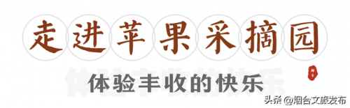 烟台牟氏庄园(烟台牟氏庄园免费门票预订)插图32
