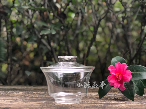 玻璃泡茶杯(十大玻璃茶杯排名)插图11