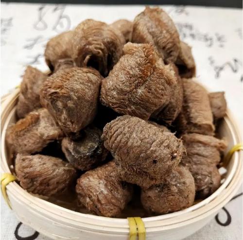 金属螳螂(让蟑螂断子绝孙的方法)插图20