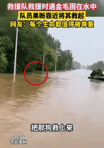 各界大佬捐钱排名前十(名人大咖捐钱的例子)插图3