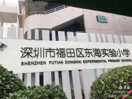 全县小学英语排名前十(小学英语试卷哪个好)插图1