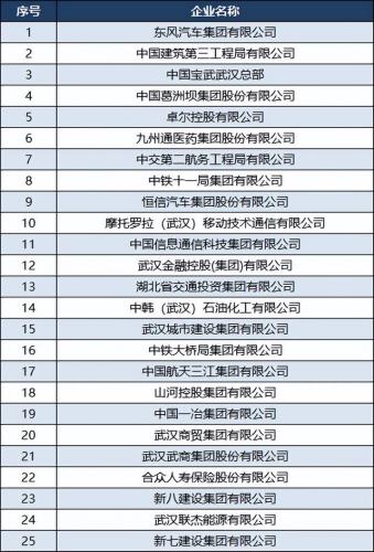武汉纳税企业排名前十(武汉公司)插图2