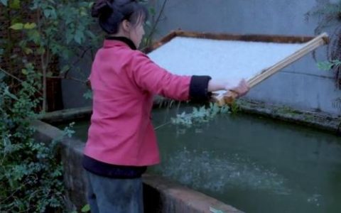 竹子造纸品牌排名前十(用竹造纸是什么时候开始)