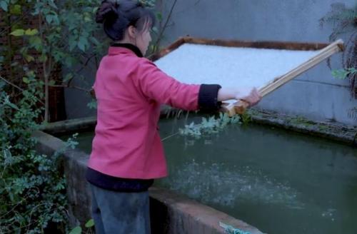 竹子造纸品牌排名前十(用竹造纸是什么时候开始)插图