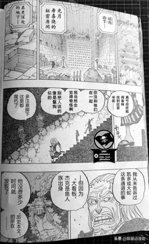 海贼王1055(海贼王漫画1055话汉化版本)插图4