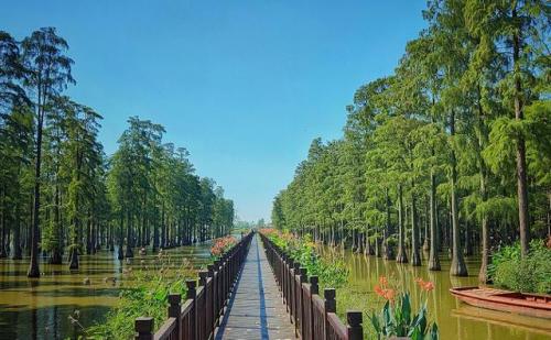 江夏冷门景点排名前十(成都周边冷门18景点)插图10
