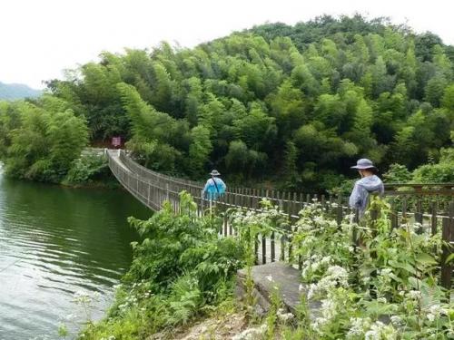 珠山油炸粑粑做法(潭下油炸粑粑做法)插图38