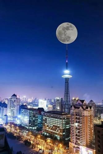 哈尔滨自拍馆排名前十(哈尔滨最好的回民馆)插图50