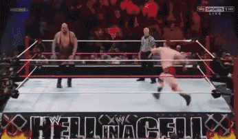 wwe体育价值排名前十(wwe历史十大排名)插图49