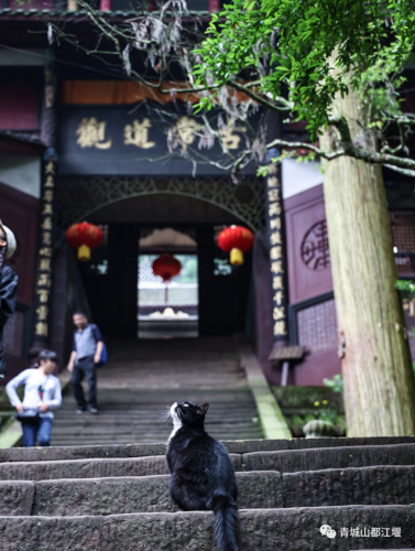 都江堰旅游(都江堰美食)插图25