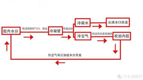 进口洗碗机品牌(全球洗碗机十大名牌)插图5