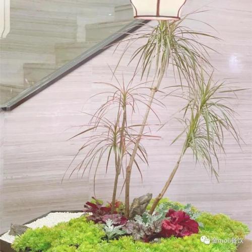 江苏药膳餐厅排名前十(药膳餐厅照片)插图7