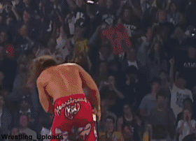wwe体育价值排名前十(wwe历史十大排名)插图71