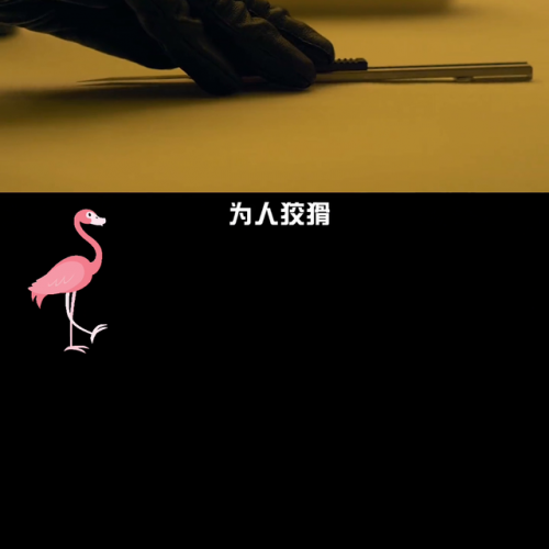 突袭2游戏攻略(突袭秘籍大全)插图3