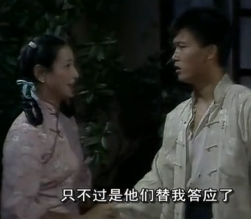 电视剧霍东阁(83版霍东阁演员表)插图11