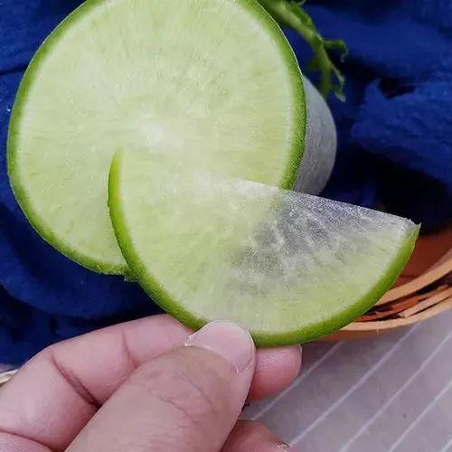 沙窝萝卜是哪里的特产(沙窝萝卜是哪里的)插图2