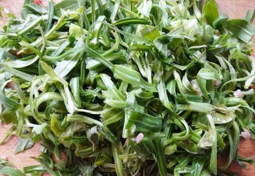 面条菜图片(面条菜的食用方法)插图6