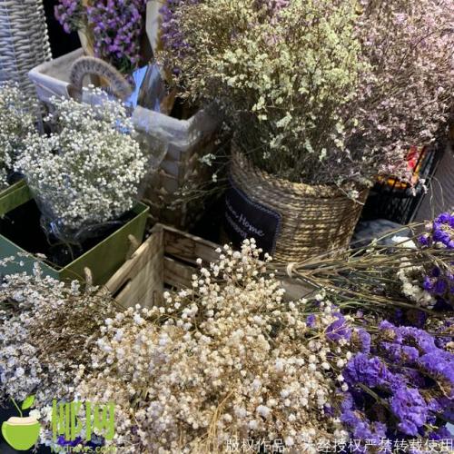 海口私房花店排名前十(中国高端品牌花店)插图3