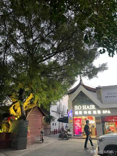 厦门建筑古厝排名前十(闽南古厝屋顶)插图9