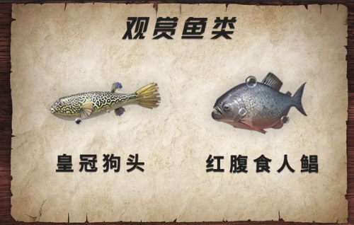 明日之后食谱(明日食谱500例)插图13