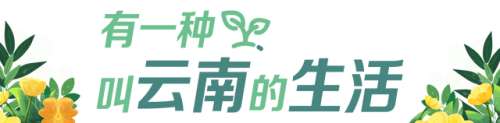 泸沽湖面积排名前十(邛海到泸沽湖多少公里)插图