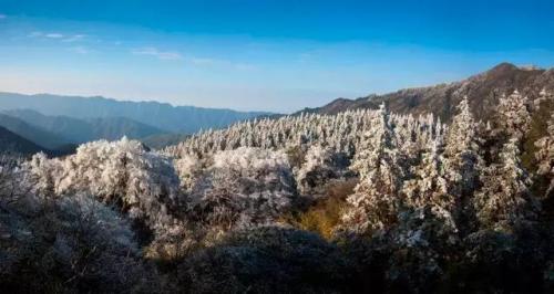珠山油炸粑粑做法(潭下油炸粑粑做法)插图42