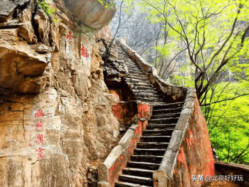 缩小帽滚骨碌山攻略(缩小帽中八个剑技)插图1