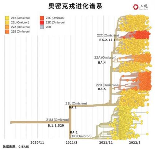 各国制造疫苗排名前十(各国出口疫苗排行)插图2