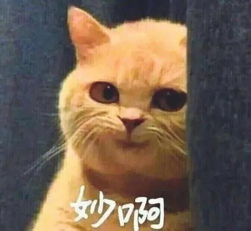 耍太极歌词(太极功夫扇全套歌词)插图5