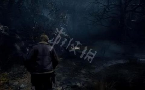 生化危机4图文攻略完整版(生化危机4图文攻略)