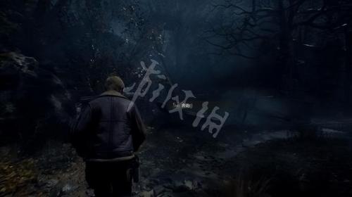 生化危机4图文攻略完整版(生化危机4图文攻略)插图