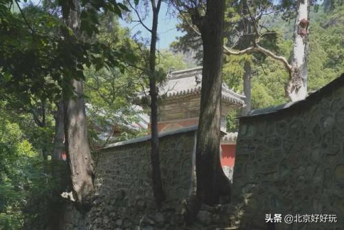 缩小帽滚骨碌山攻略(缩小帽中八个剑技)插图2