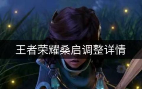 王者荣耀桑启调整了什么(桑启最强输出出装)