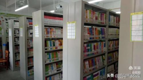 博白市小学排名前十(博白初中排名一览表)插图28