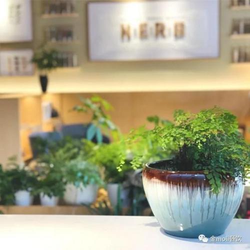 江苏药膳餐厅排名前十(药膳餐厅照片)插图9
