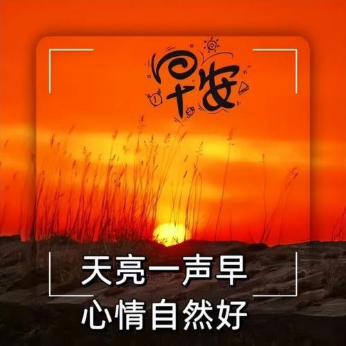 快乐相伴(快乐相伴微信名好吗)插图4