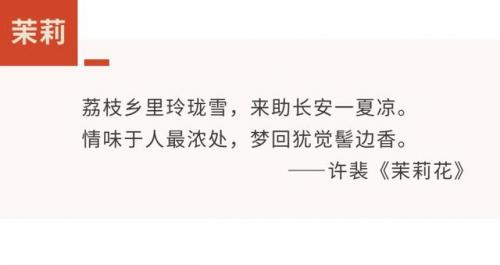 菡萏是什么(菡萏特殊含义)插图16