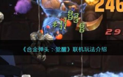 合金弹头：觉醒联机玩法介绍(合金弹头觉醒怎么能双人玩)