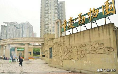 永川野生动物园(永川野生动物园门票)插图6